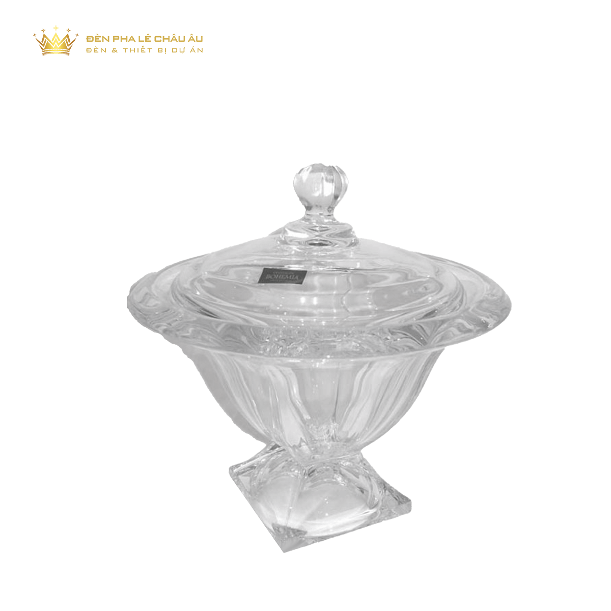 ÂU PHA LÊ ĐÚC 55051-32311-210 