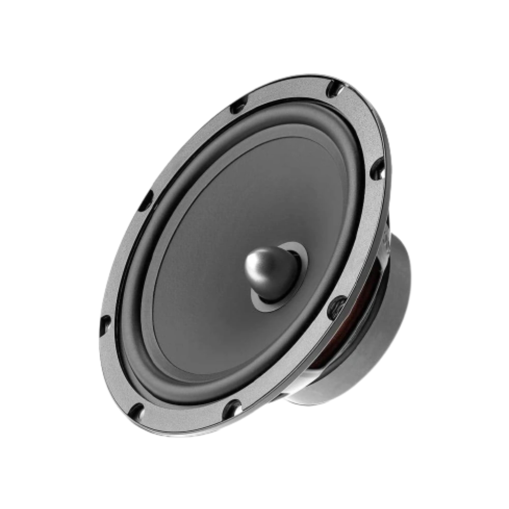 Loa Cánh Cửa Oto 2 Way Focal Rse 165 2
